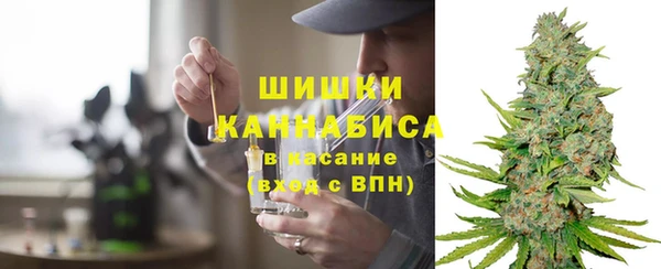 трава Покачи