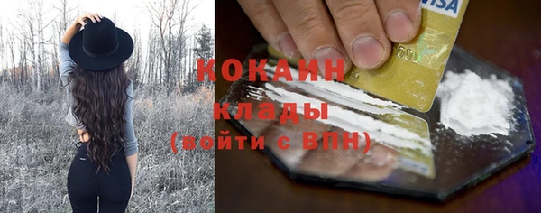 прущие грибы Покровск